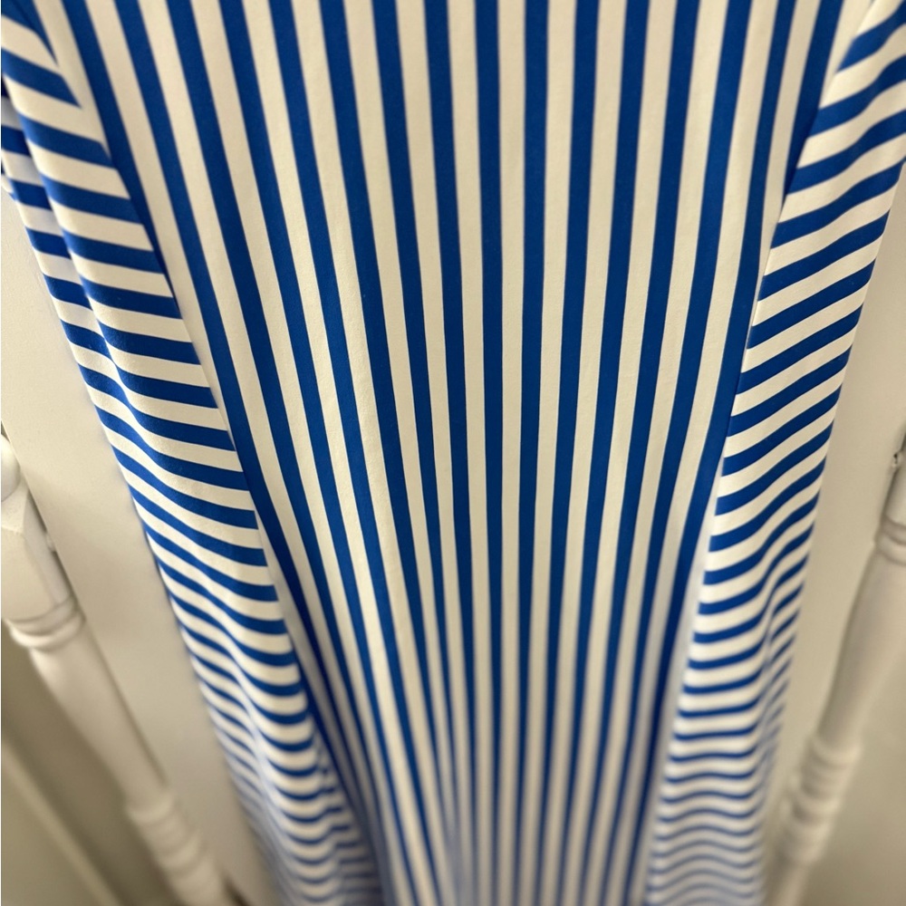 J. McLaughlin Blue and White Striped Dress - Picture 7 of 9